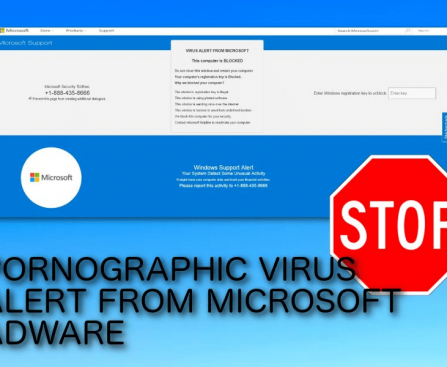 Microsoft Virus Alert