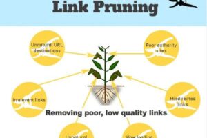 Link Pruning