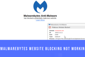 Malwarebytes not opening