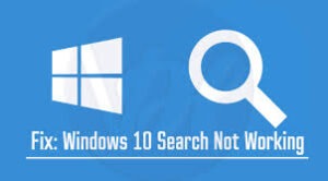 Windows Search Not Working