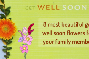 8 most beautiful get well soon flowers for your family member