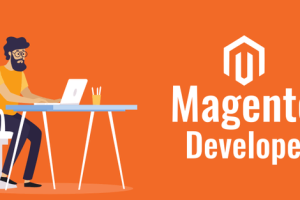Crucial Point To Hire Magento Dedicated Developer