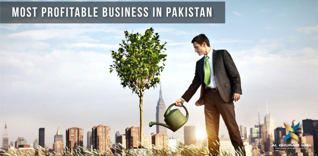 Successful Startup Ideas in Pakistan