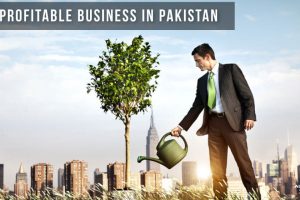 Successful Startup Ideas in Pakistan