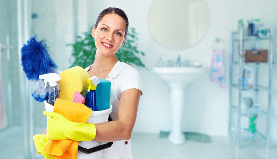 hire a professional domestic cleaning services