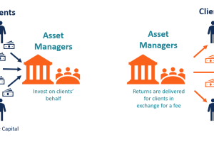 Asset Management Companies