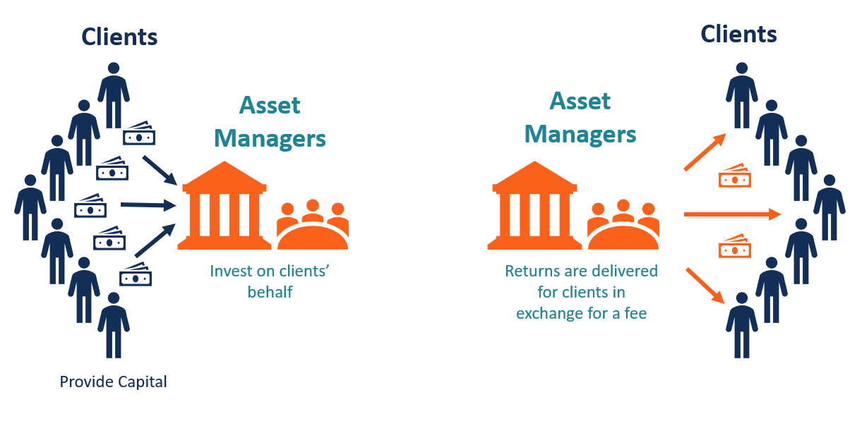 Asset Management Companies