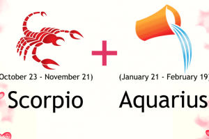 Scorpio and Aquarius