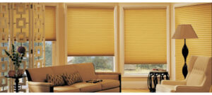 sunshine blinds