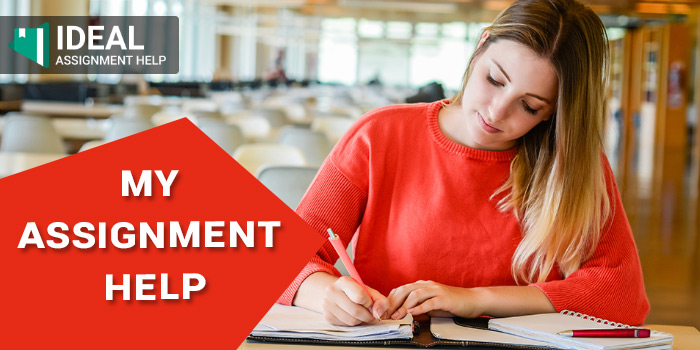 assignment help experts