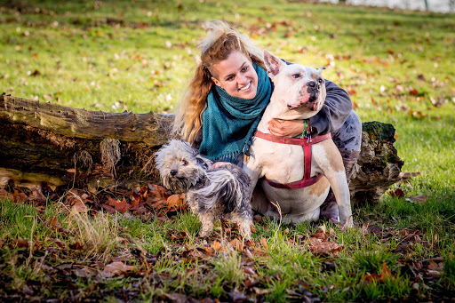 pet care in North West London