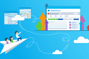 Salesforce Implementation