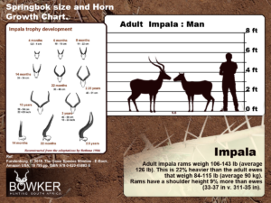 Fig 2: Horn Growth and size charts.