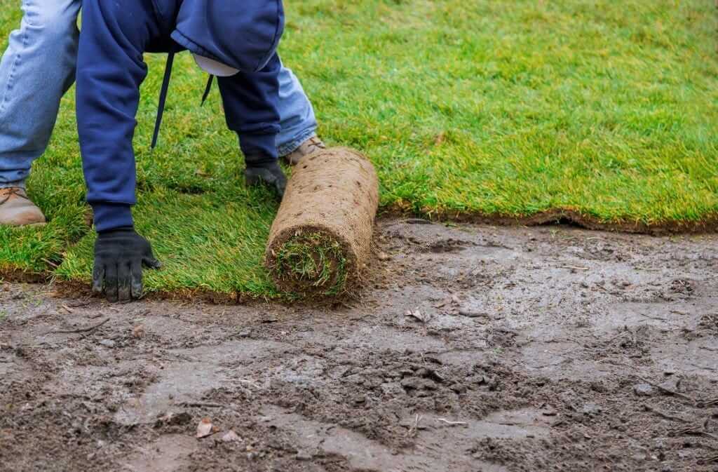 Beware Of Atlanta Sod Fall Mistakes When Caring For Lawn