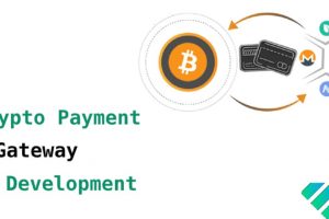 Cryptocurrency Payment Gateway Development