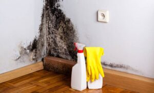 HOW TO PREVENT MOLD AFTER WATER DAMAGE
