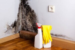HOW TO PREVENT MOLD AFTER WATER DAMAGE