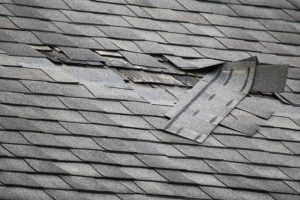 Major Causes Of Roof Damage