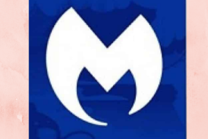 Malwarebytes Error Code 730