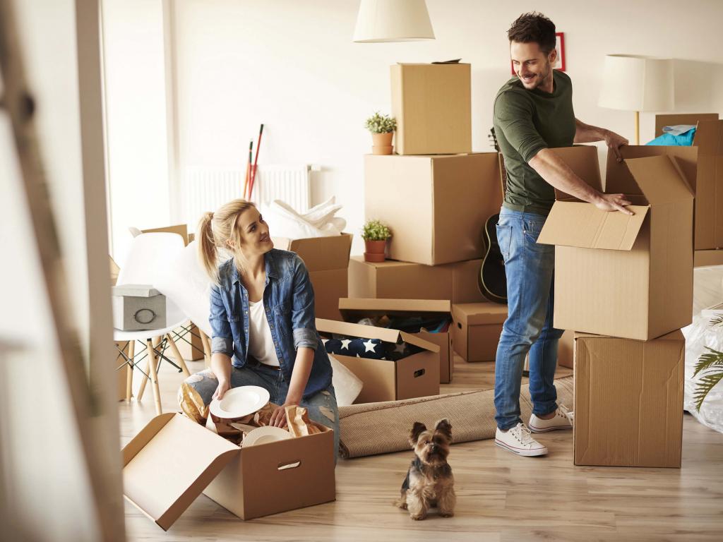 Reason Why Need To Hire Professional Moving Services Near Me