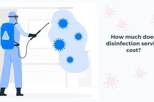 Understand the Background of Disinfection Service Now