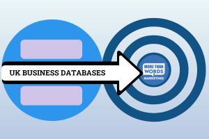 UK Business Database