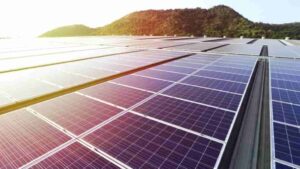 solar panels