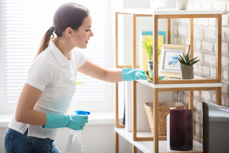 professional cleaners London