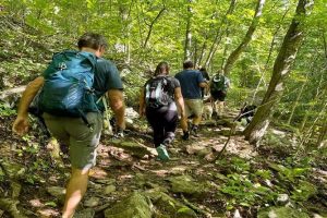 Hiking for Beginners
