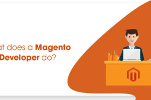 Magento developer