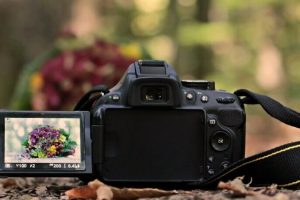 Precautions Should I Follow Before Buying a Cheap Digital Camera