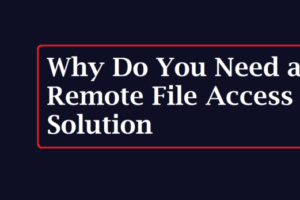 Remote File Access Solution
