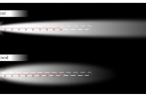 LED flood lights vs spotlights