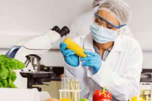 Food Safety Services