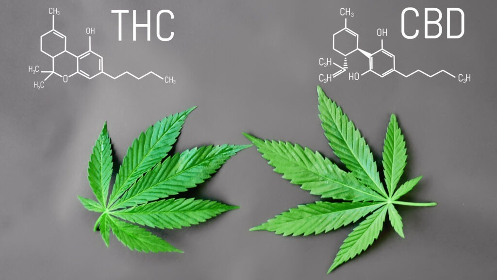 THC