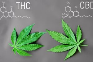 THC
