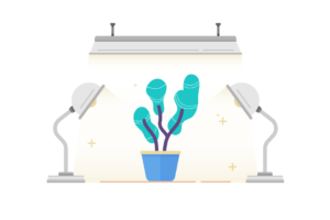 Growth Hacking Tips for ecommerce