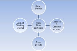 Cash Flow Management Strategy