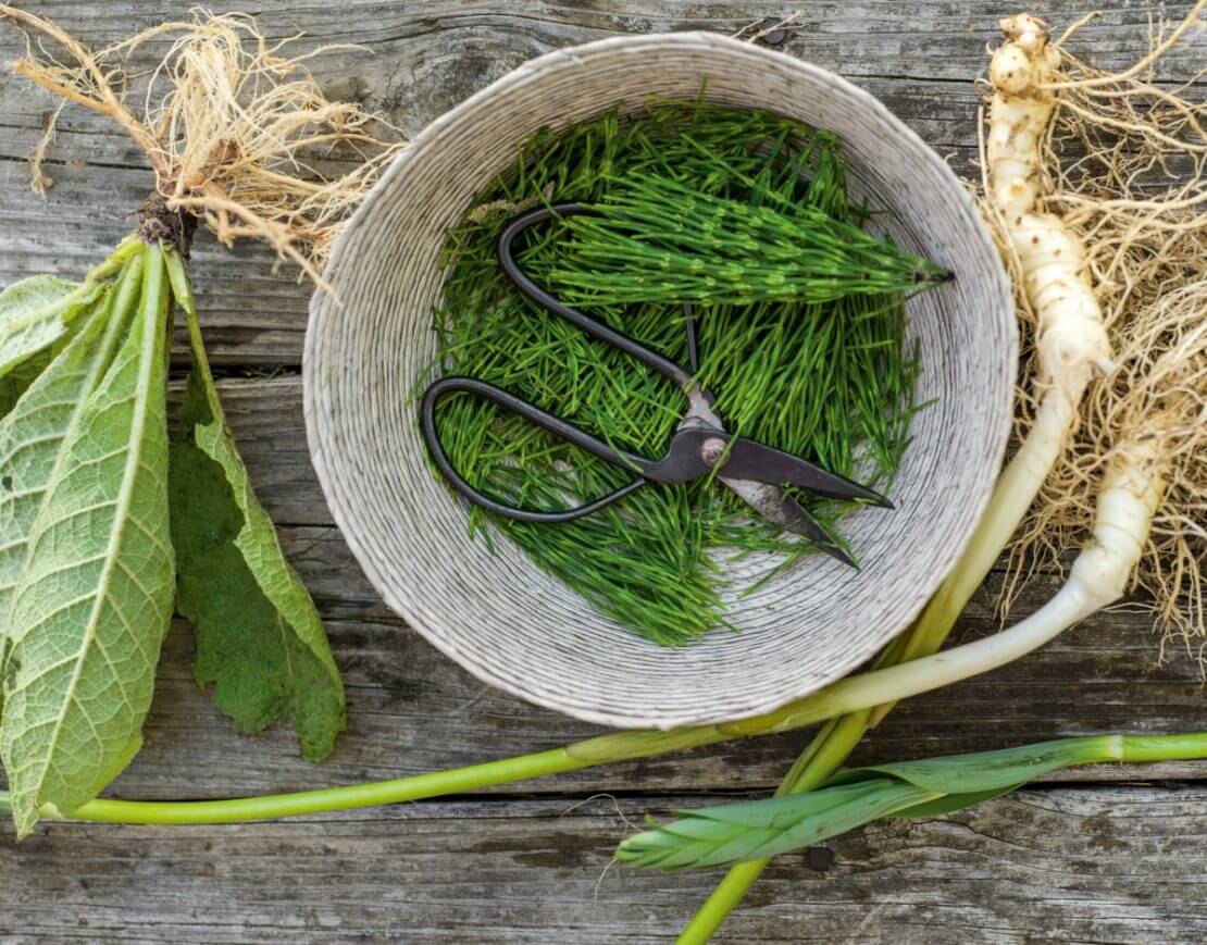 Herbal Ointment for Muscle Pain