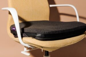 Office Chair Pillow