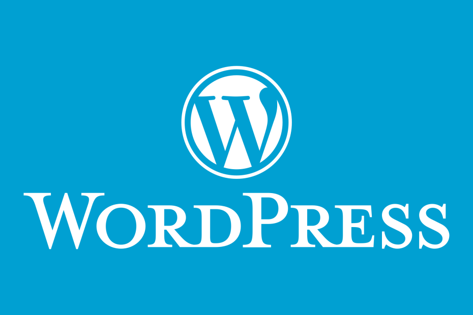 wordpress website