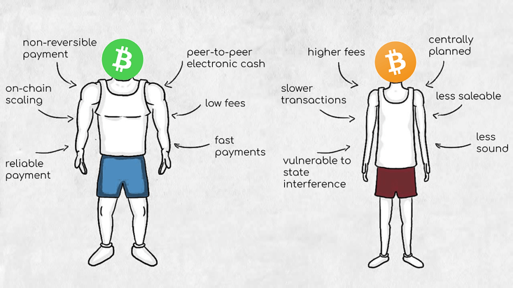 Bitcoin vs Bitcoin Cash