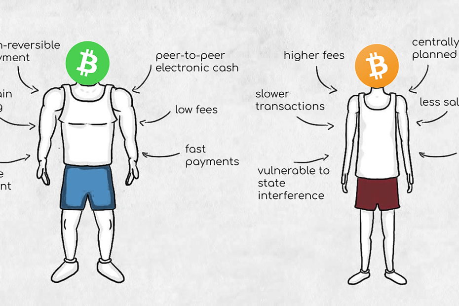 Bitcoin vs Bitcoin Cash