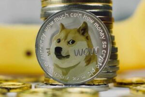 Reasons to Invest in Dogecoin Today