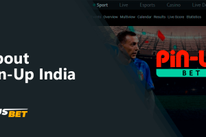 Pin-Up India Overview