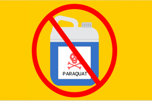 Know About Paraquat Exposure