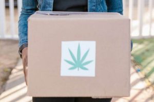 10 Easy Tips to Easily Buy Weed Online