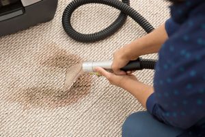 Cleaning Carpets After The Professionals Have Left