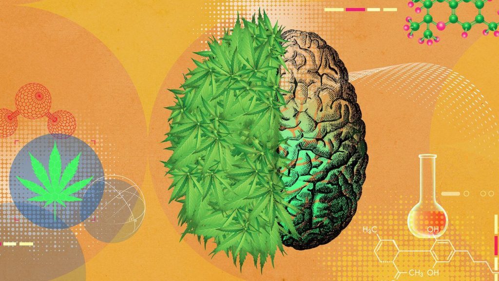 Marijuana Mental Health Effects