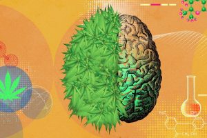 Marijuana Mental Health Effects